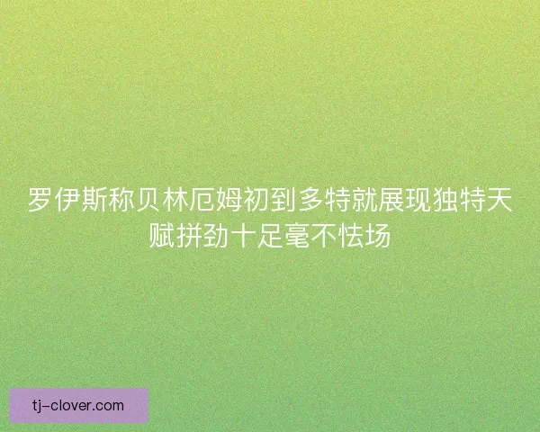 罗伊斯称贝林厄姆初到多特就展现独特天赋拼劲十足毫不怯场 罗伊斯称贝林厄姆初到多特就展现独特天赋拼劲十足毫不怯场