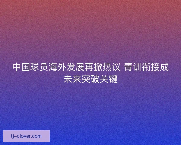 中国球员海外发展再掀热议 青训衔接成未来突破关键 中国球员海外发展再掀热议 青训衔接成未来突破关键