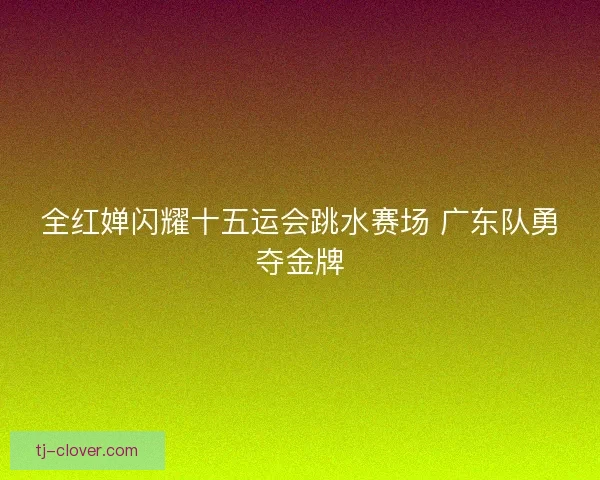 全红婵闪耀十五运会跳水赛场 广东队勇夺金牌 全红婵闪耀十五运会跳水赛场 广东队勇夺金牌