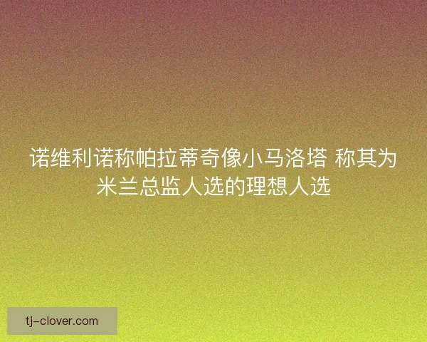 诺维利诺称帕拉蒂奇像小马洛塔 称其为米兰总监人选的理想人选 诺维利诺称帕拉蒂奇像小马洛塔 称其为米兰总监人选的理想人选